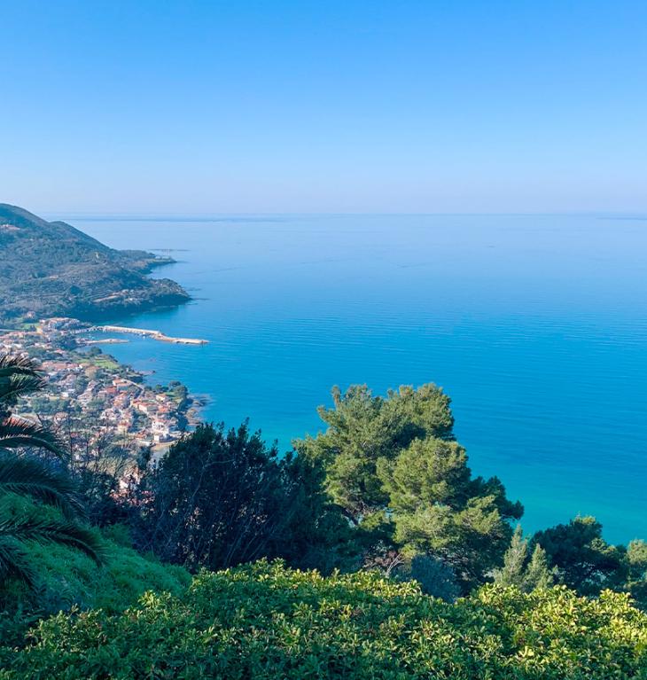 Vista panoramica sul mare con vegetazione e un villaggio costiero.